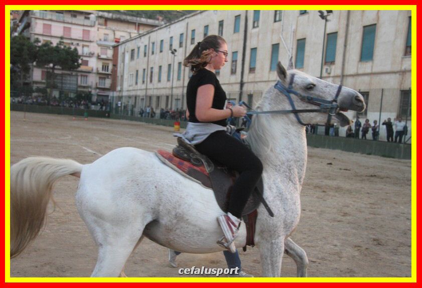161106 equestre 162_tn.jpg